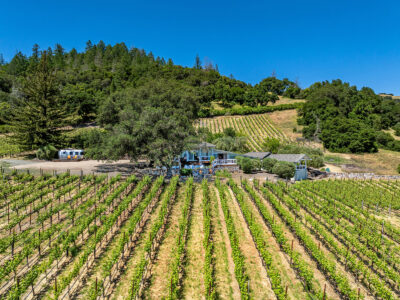 A03 - 022-DJI_0908EDIT