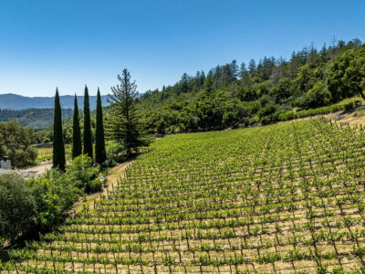 D02 - 028-DJI_0902