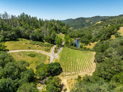 D03 - 038-DJI_0892
