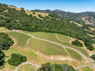 D06 - 037-DJI_0893