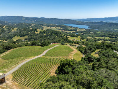 D07 - 036-DJI_0894