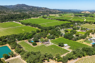 A01 - 168-DJI_0398CROPPED1