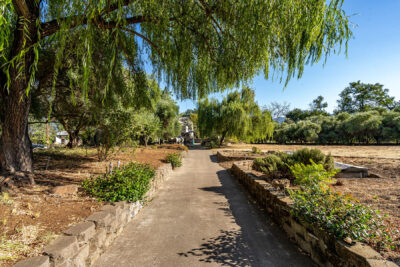 B19 - 140-DSC00908