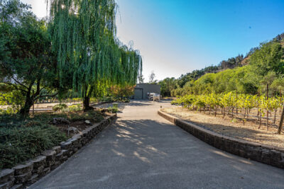 C01 - 134-DSC00902EDIT