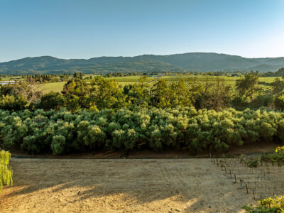 D02-DJI_0633EDIT