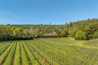 A03 - 243-DJI_0124CROP