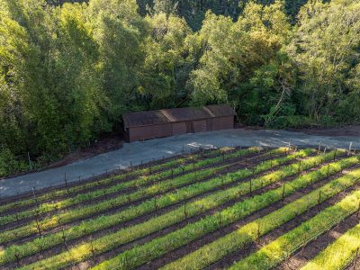 D05 - 239-DJI_0120