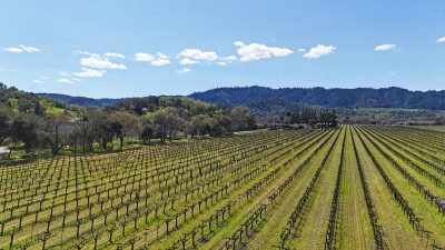 02-dji_20250320135553_0753_d_edited-1