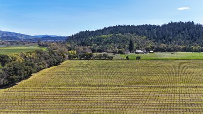 13-dji_20250320140434_0770_d_edited_v2-1